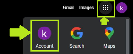 Google Account Icon